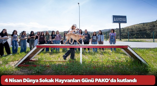 4 Nisan Dünya Sokak Hayvanları Günü PAKO’da kutlandı