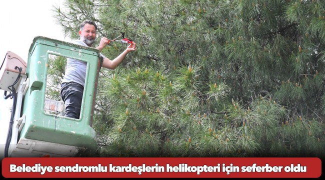 Helikopterleri ağaçta asılı kalan çocukların imdadına belediye koştu