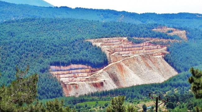 Ormanlarda görünmeyen yangın: 10 yılda 109 bin hektara maden izni verildi