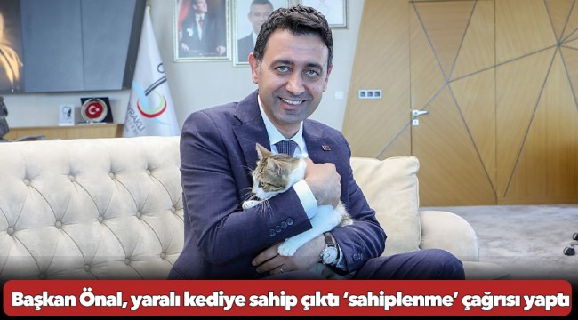 Başkan Önal, yaralı kediye sahip çıktı ‘sahiplenme’ çağrısı yaptı