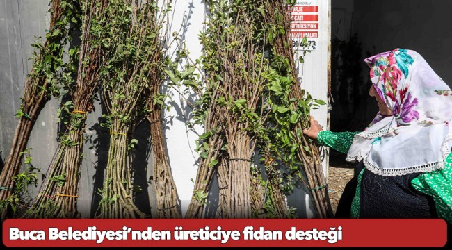 Buca Belediyesi’nden üreticiye fidan desteği
