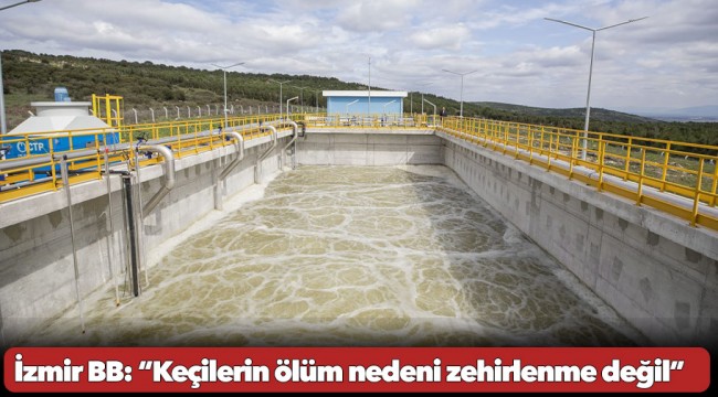 İzmir Büyükşehir Belediyesi’nden açıklama  “Keçilerin ölüm nedeni zehirlenme değil”