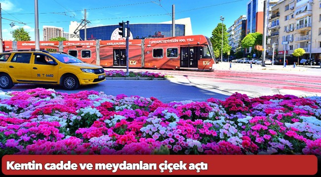 Kentin cadde ve meydanları çiçek açtı