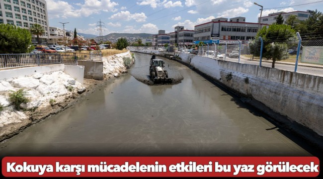Kokuya karşı mücadelenin etkileri bu yaz görülecek