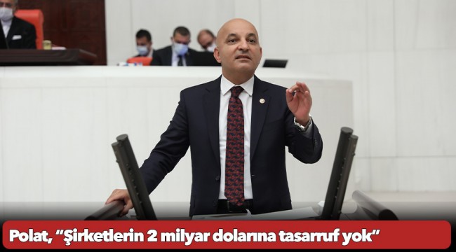Polat, “Şirketlerin 2 milyar dolarına tasarruf yok”