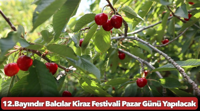 12.Bayındır Balcılar Kiraz Festivali Pazar Günü Yapılacak