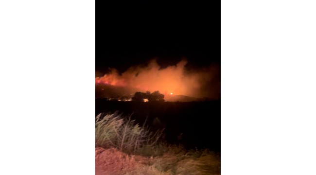 Bayındır&#039;da çıkan yangın kontrol altına alındı