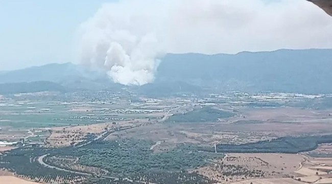 İzmir&#039;de orman yangını! Uçaklar ve helikopterler bölgede