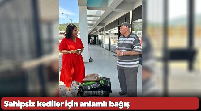 Sahipsiz kediler için anlamlı bağış