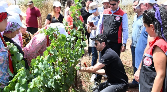 Üzümde İlaç Kalıntısına Geçit Vermeyeceğiz