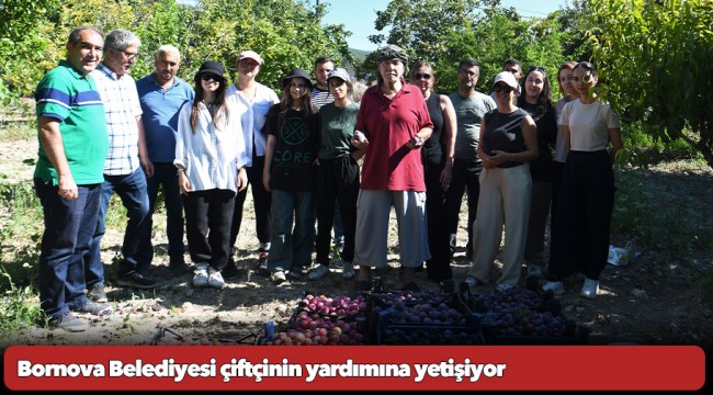 Bornova Belediyesi çiftçinin yardımına yetişiyor