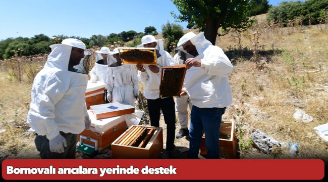 Bornovalı arıcılara yerinde destek