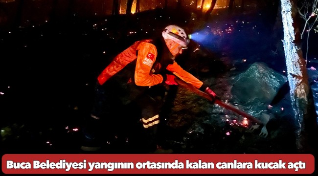 Buca Belediyesi yangının ortasında kalan canlara kucak açtı