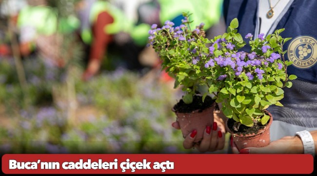 Buca’nın caddeleri çiçek açtı