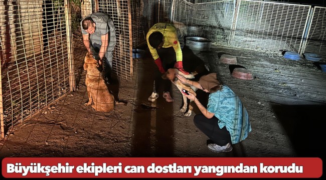 Büyükşehir ekipleri can dostları yangından korudu