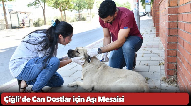 Çiğli’de Can Dostlar için Aşı Mesaisi