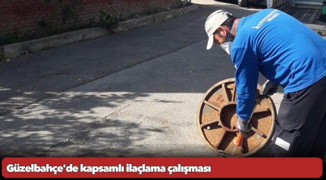 Güzelbahçe&#039;de kapsamlı ilaçlama çalışması