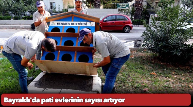 Bayraklı'da pati evlerinin sayısı artıyor