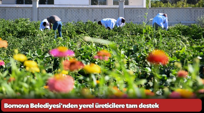 Bornova Belediyesi'nden yerel üreticilere tam destek