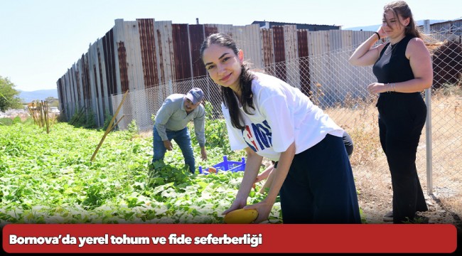Bornova’da yerel tohum ve fide seferberliği