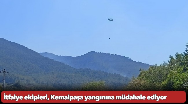 İtfaiye ekipleri, Kemalpaşa yangınına müdahale ediyor