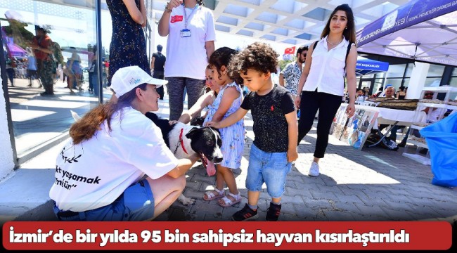 İzmir’de bir yılda 95 bin sahipsiz hayvan kısırlaştırıldı