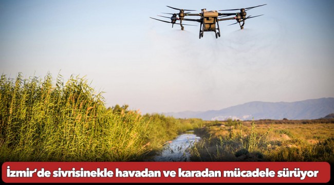 İzmir’de sivrisinekle havadan ve karadan mücadele sürüyor