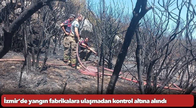 İzmir’de yangın fabrikalara ulaşmadan kontrol altına alındı