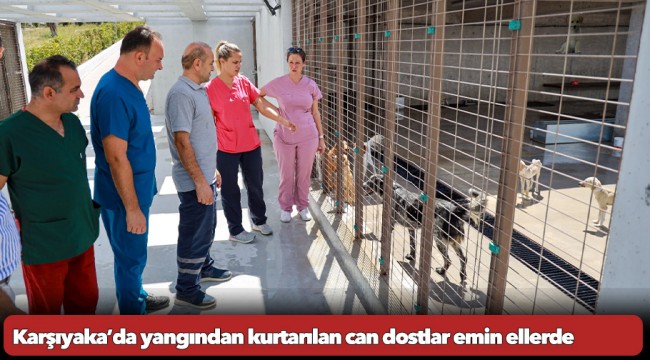 Karşıyaka’da yangından kurtarılan can dostlar emin ellerde