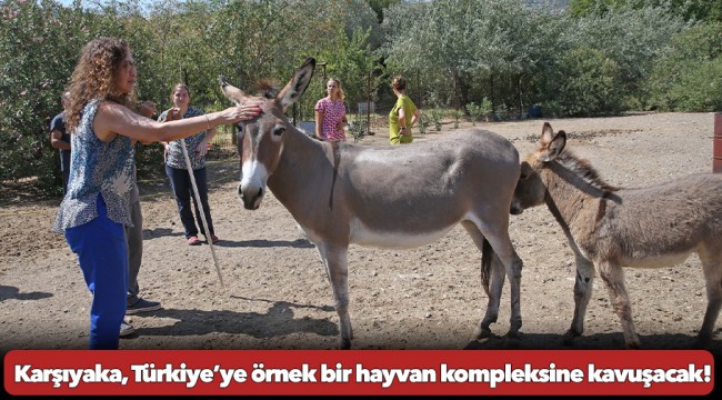 Karşıyaka, Türkiye’ye örnek bir hayvan kompleksine kavuşacak!