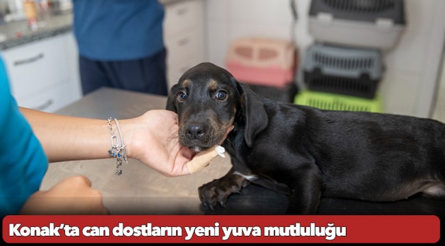 Konak’ta can dostların yeni yuva mutluluğu