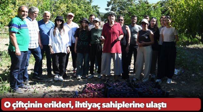 O çiftçinin erikleri, ihtiyaç sahiplerine ulaştı