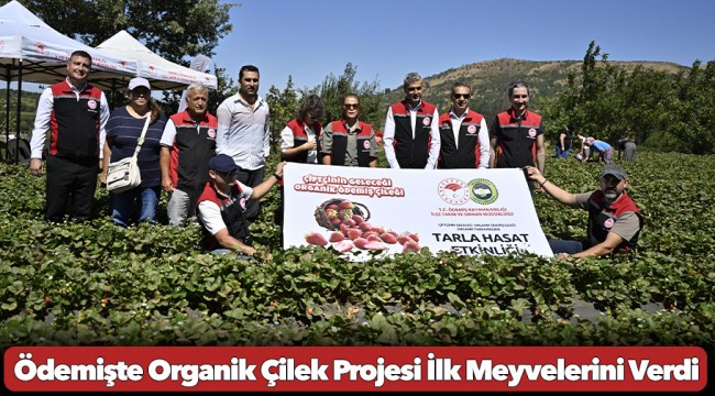 Ödemişte Organik Çilek Projesi İlk Meyvelerini Verdi