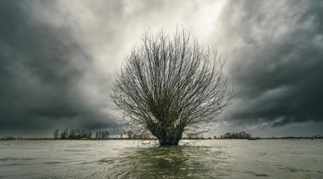 &#039;Avrupa&#039;yı kasıp kavuruyor&#039; Felaket ihtimali 2 kat arttı! &#039;Varoluşsal bir tehdit&#039;