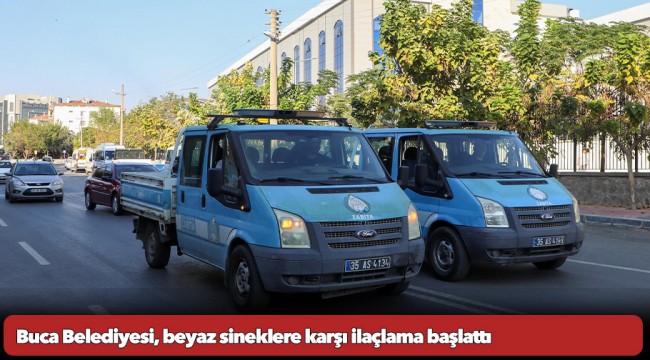 Buca Belediyesi, beyaz sineklere karşı ilaçlama başlattı