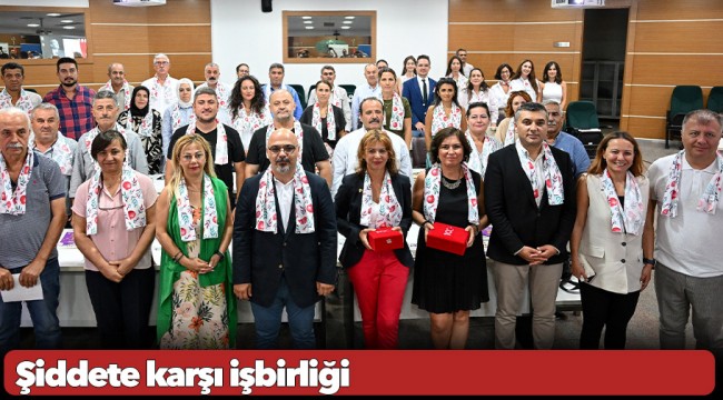 Şiddete karşı işbirliği