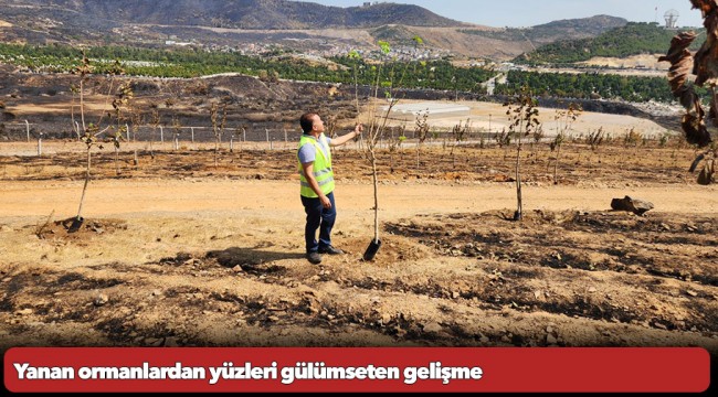 Yanan ormanlardan yüzleri gülümseten gelişme
