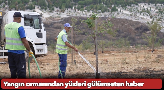 Yangın ormanından yüzleri gülümseten haber