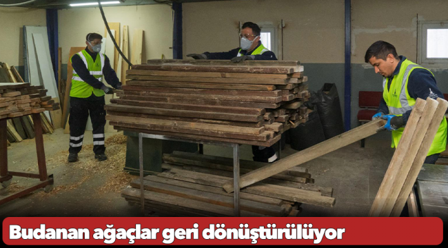 Budanan ağaçlar geri dönüştürülüyor