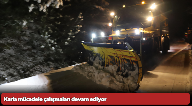 Karla mücadele çalışmaları devam ediyor