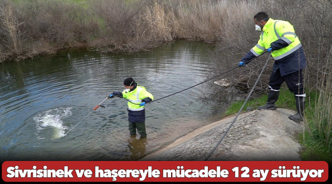 Sivrisinek ve haşereyle mücadele 12 ay sürüyor
