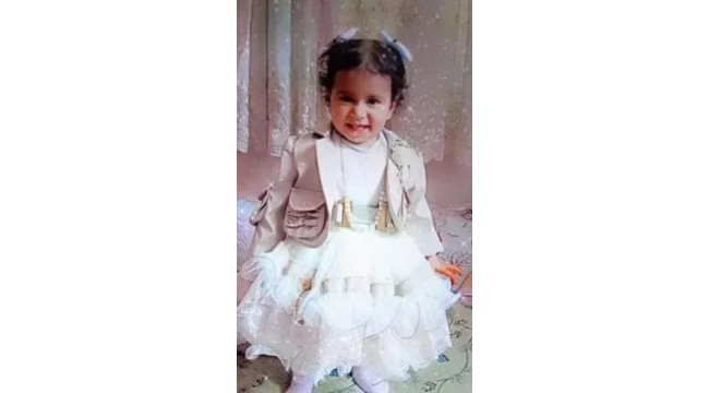 10 Köpeğin Saldırdığı Minik Rana Kurtarılamadı