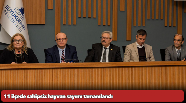 11 ilçede sahipsiz hayvan sayımı tamamlandı