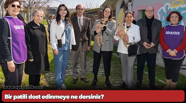 Bir patili dost edinmeye ne dersiniz?