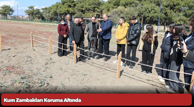 Kum Zambakları Koruma Altında