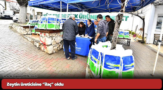 Zeytin üreticisine “ilaç” oldu