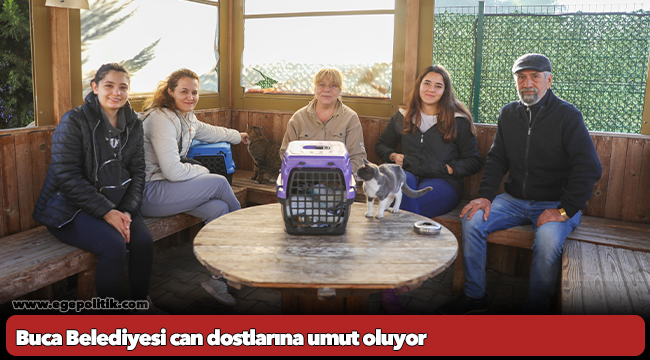 Buca Belediyesi can dostlarına umut oluyor
