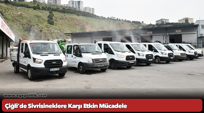 Çiğli’de Sivrisineklere Karşı Etkin Mücadele