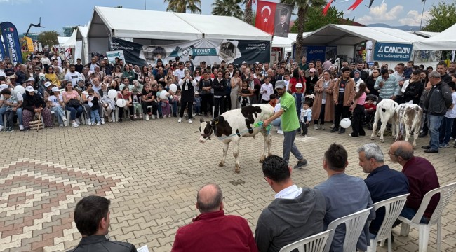 Fuarda buzağılar podyuma çıktı: Renkli anlar yaşandı