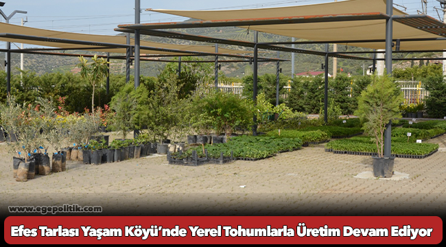 Efes Tarlası Yaşam Köyü’nde Yerel Tohumlarla Üretim Devam Ediyor